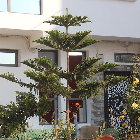 Lafamilia Surf Imsouane Hotel Ngoại thất bức ảnh
