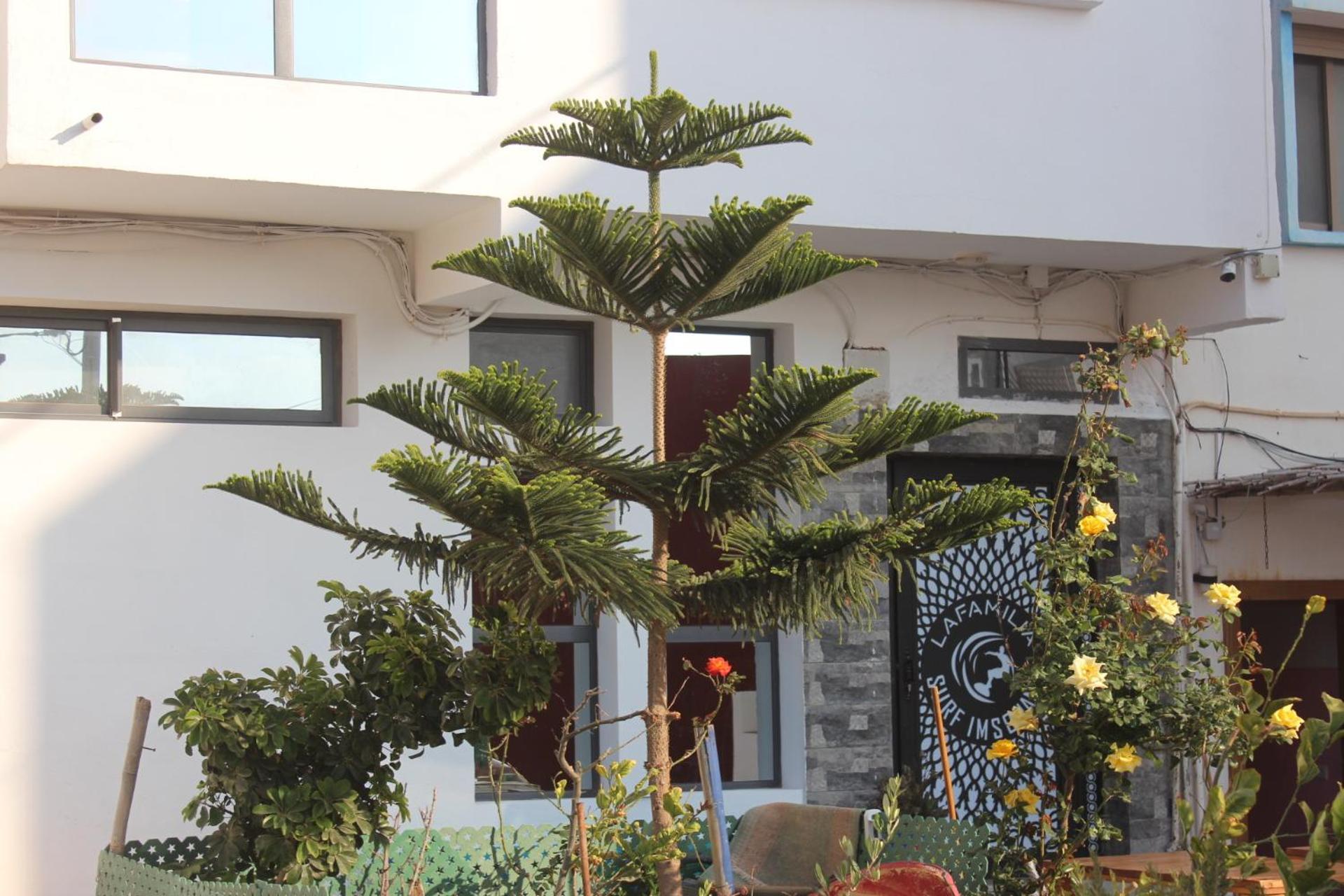Lafamilia Surf Imsouane Hotel Ngoại thất bức ảnh